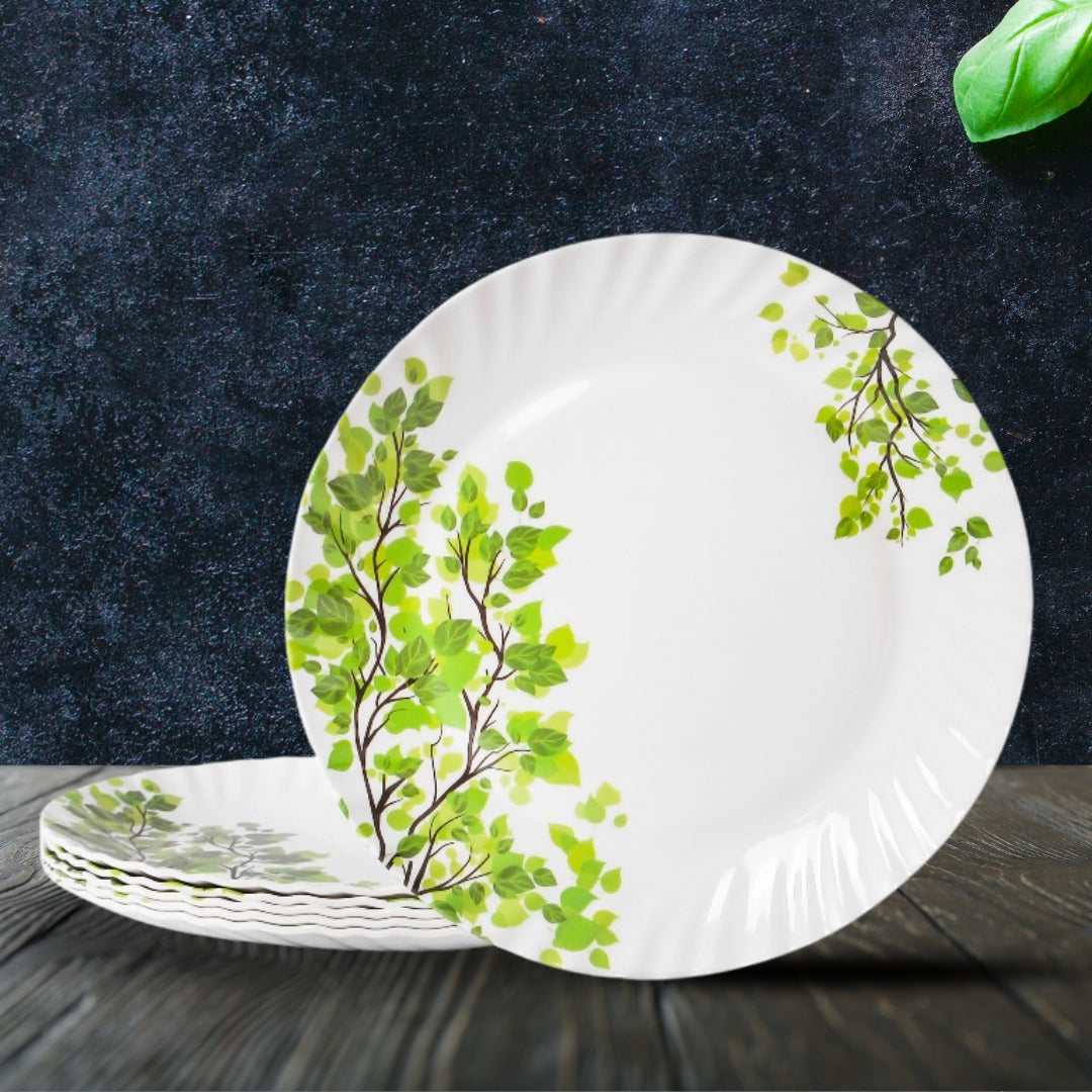 Everwell Dinner Plate Set – 6 Pcs