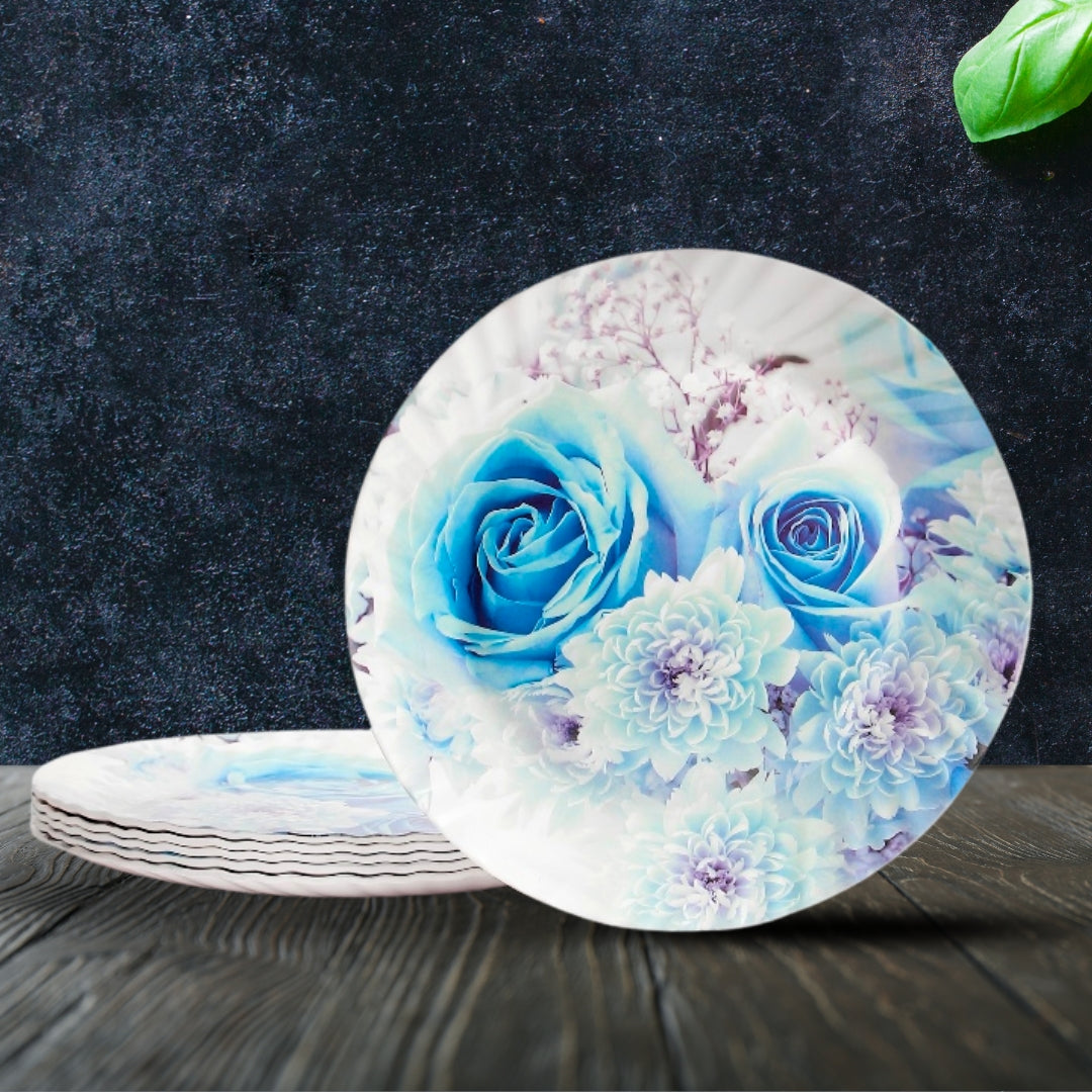 Everwell Dinner Plate Set – 6 Pcs